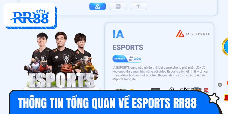 Các thông tin tổng quan về thế giới eSports RR88