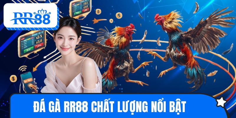 Đá gà RR88 với chất lượng trải nghiệm nổi bật