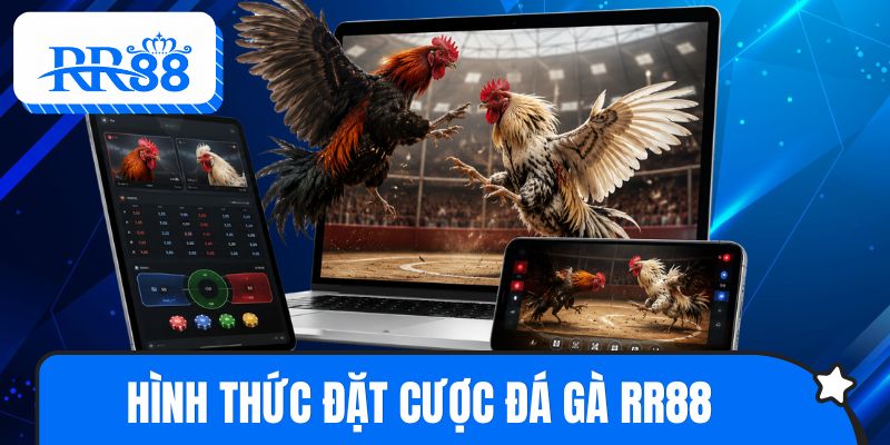 Những hình thức đặt cược đá gà RR88 đáng chú ý