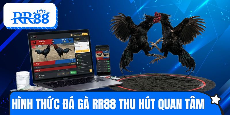 Những hình thức đá gà RR88 thu hút sự quan tâm hiện nay