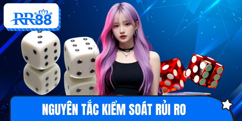 Nguyên tắc kiểm soát rủi ro khi tham gia tài xỉu RR88 