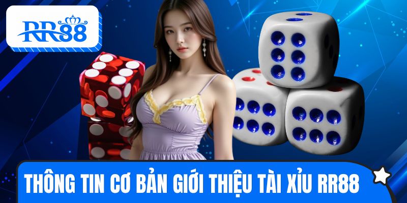 Thông tin cơ bản giới thiệu tài xỉu RR88